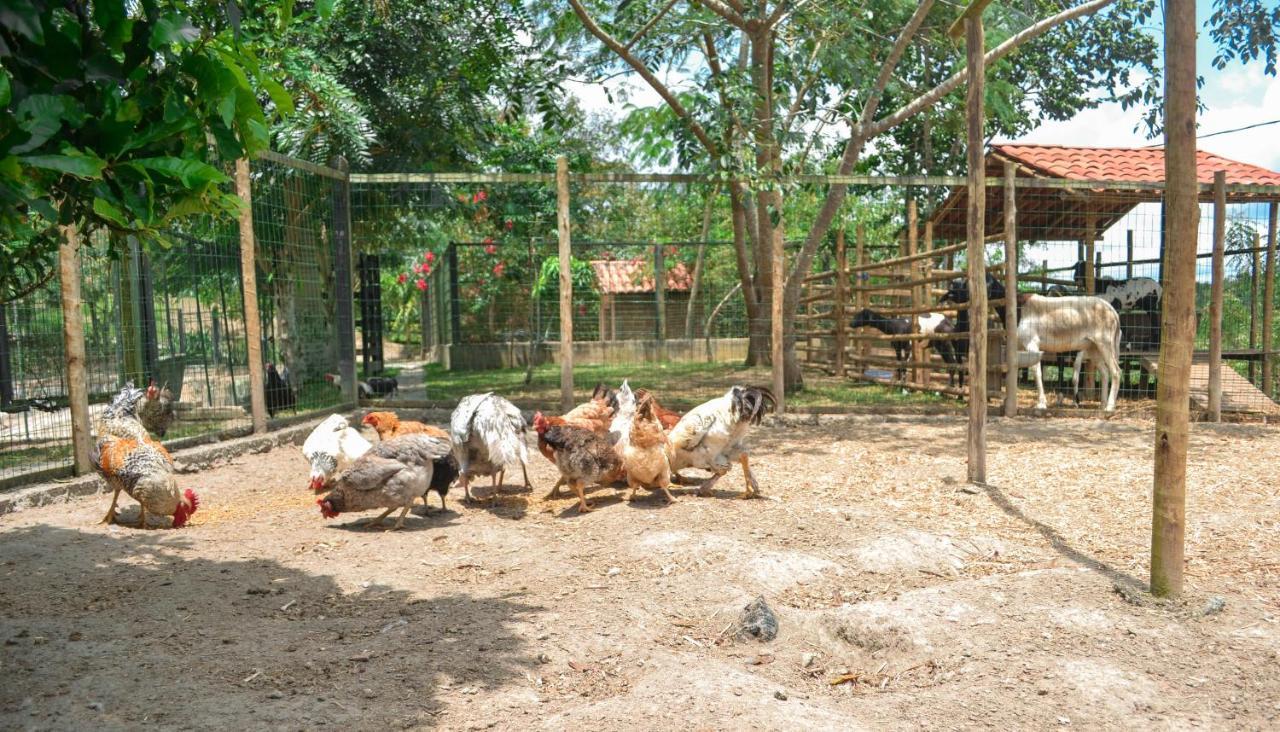 Chacara Maluco Beleza 2 Gravatá Exterior foto